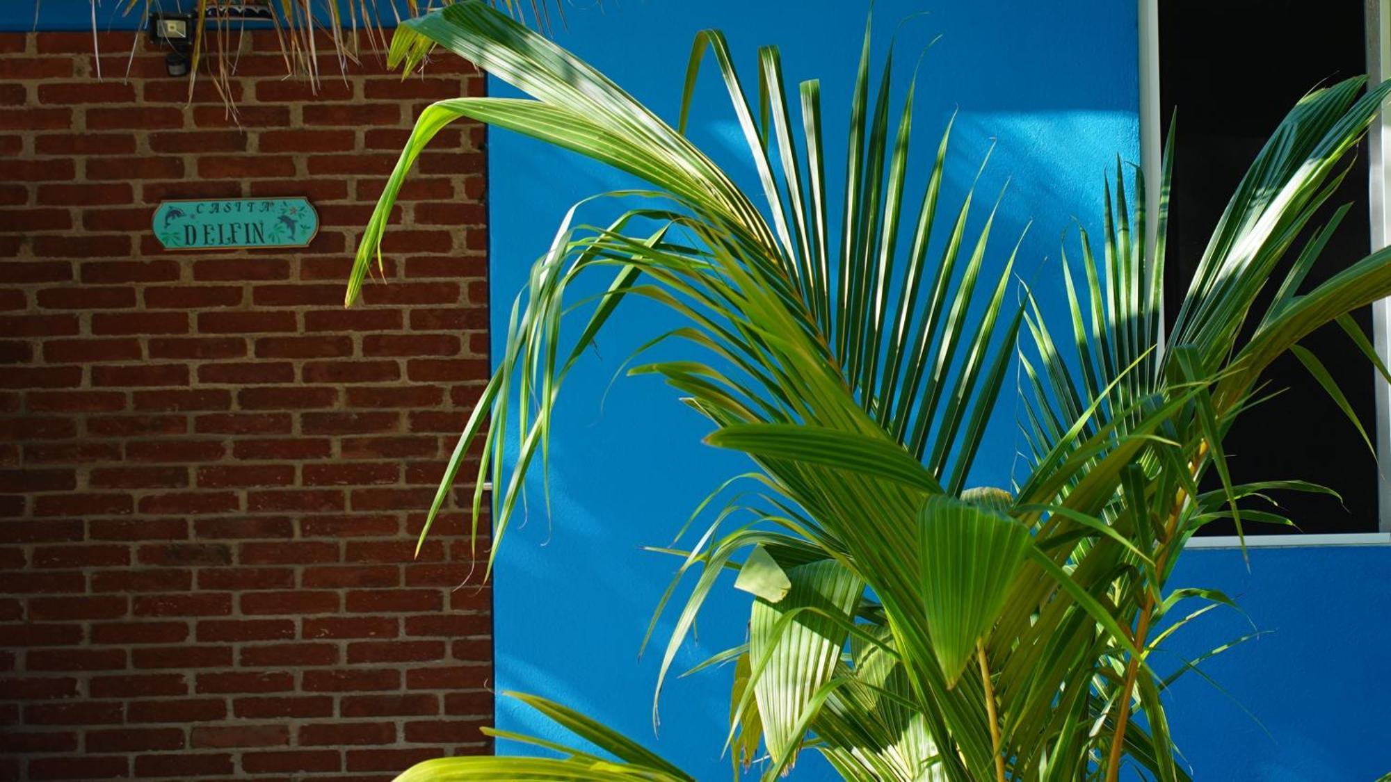 Ocean Oasis Hotel - Adult Only, Four Casitas Boutique Resort Agua Blanca Eksteriør bilde