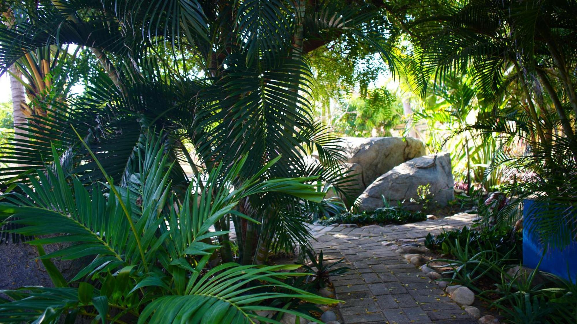 Ocean Oasis Hotel - Adult Only, Four Casitas Boutique Resort Agua Blanca Eksteriør bilde