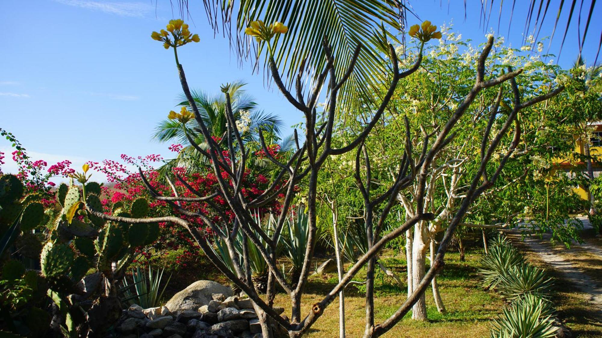 Ocean Oasis Hotel - Adult Only, Four Casitas Boutique Resort Agua Blanca Eksteriør bilde